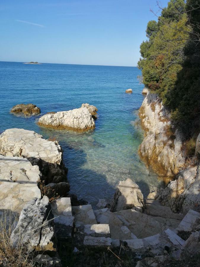 App Roko Poreč Exterior foto
